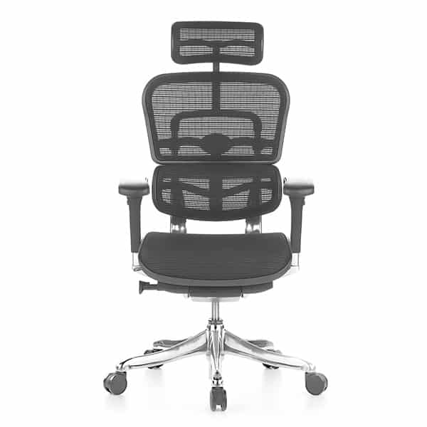 Ergohuman Plus Elite V2 Office Chair - Best for Most People