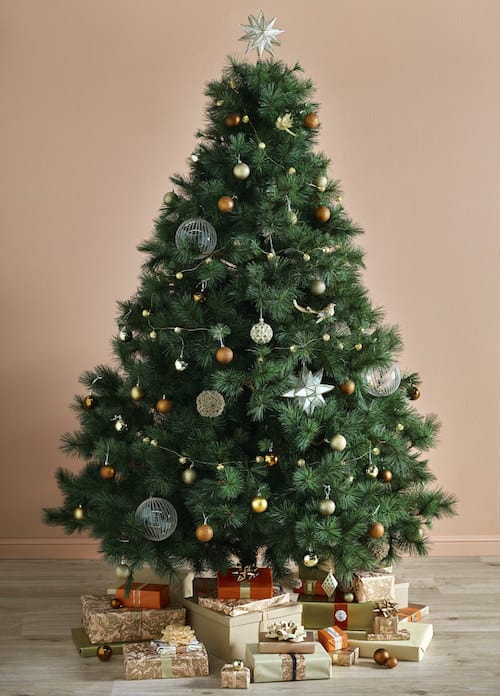 Classic Pine Premium Christmas Tree
