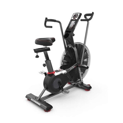 Schwinn Airdyne AD8 air bike