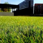 When to Aerate Your Lawn: A Beginners Guide