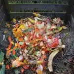 The Best Compost Bin in Australia for 2022