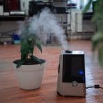 The Best Humidifier in Australia for 2022