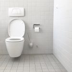 The Best Toilet Brush In Australia [2022 Reviews]