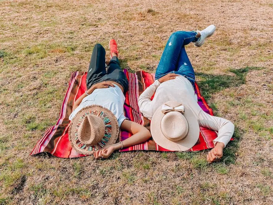 Best Picnic Rug